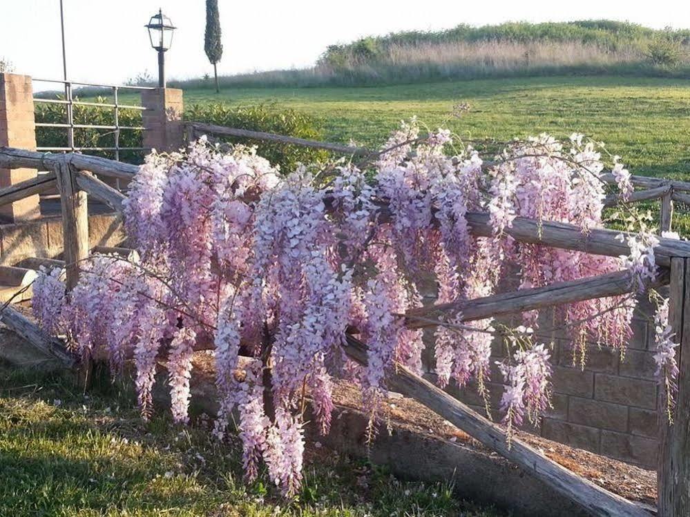 Pensjonat Agriturismo Ragoncino Lajatico Zewnętrze zdjęcie